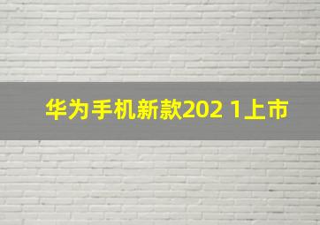 华为手机新款202 1上市